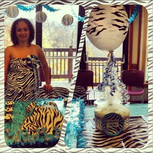 Blue Zebra Baby Shower Theme